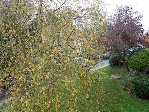 Appartement 5 pièces 83 m²