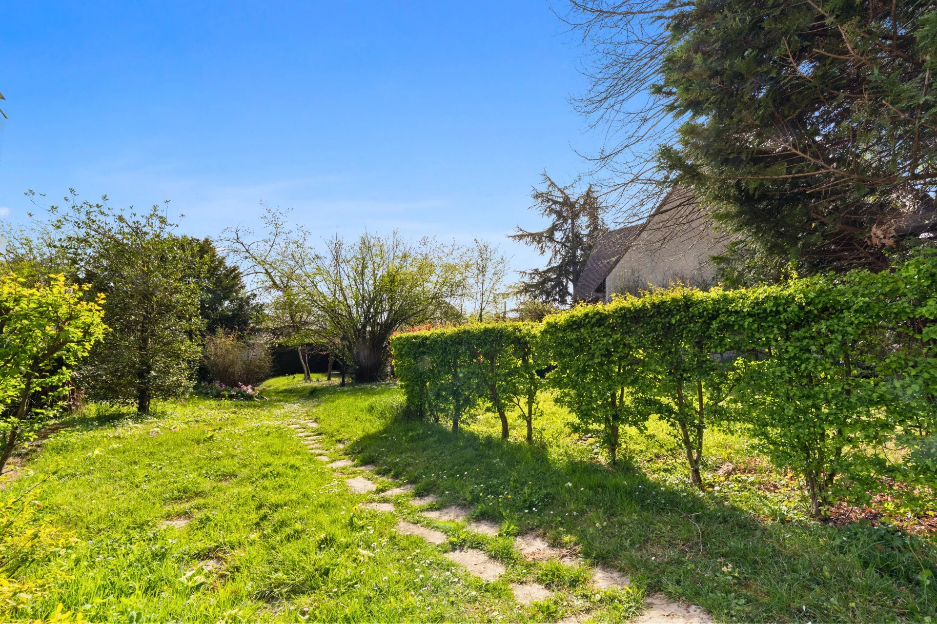 Maison 10 pièces 289 m² - 19